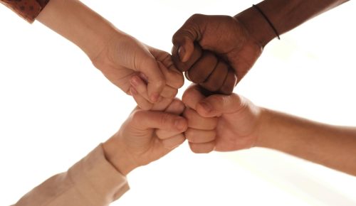 pexels-mikael-blomkvist-6476772